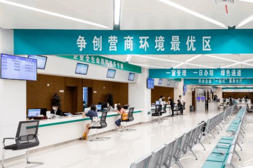 打造'溧即辦'黨建新品牌，讓服務窗口成為'人心窗口'